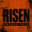 Risen DLX